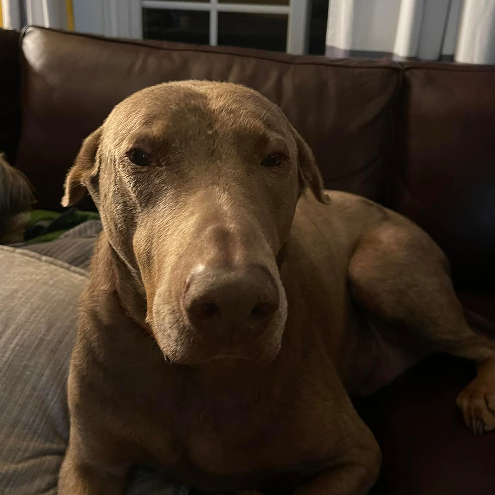 Parker is the best boy