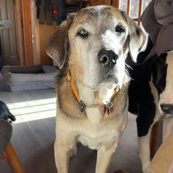 Tony reflects on being an old man