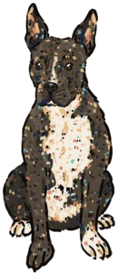 Kim Bode's dog, Frank