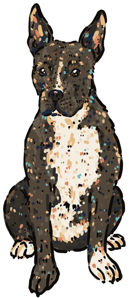 Kim Bode's dog, Frank