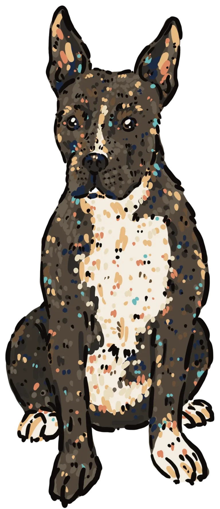 Kim Bode's dog, Frank