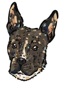 Kim Bode's dog, Frank