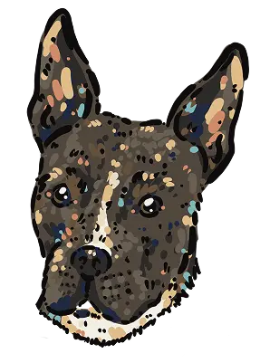 Kim Bode's dog, Frank