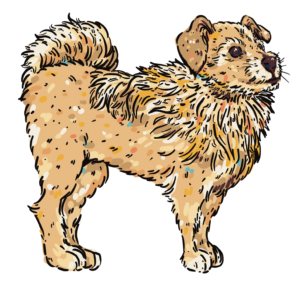 Kim Bode's dog, Jax