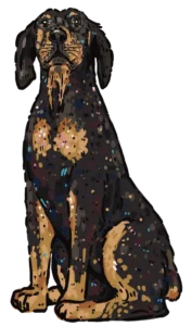 Kim Bode's dog, Joey