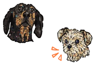 Kim Bode's dogs, Joey and Millie