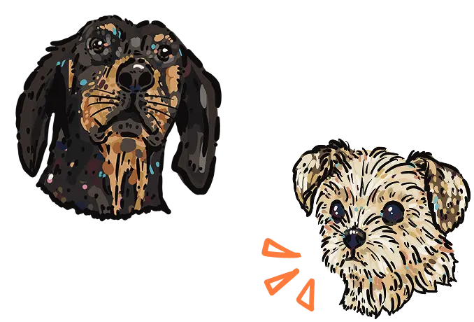 Kim Bode's dogs, Joey and Millie