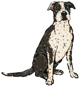 Kim Bode's dog, Lucky