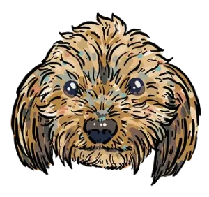 Kim Bode's dog, Phoebe