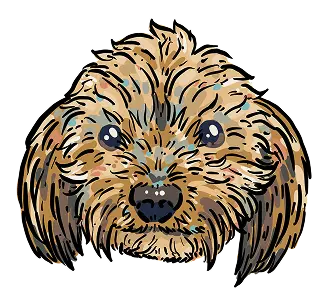 Kim Bode's dog, Phoebe