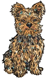 Kim Bode's dog, River