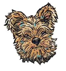 Kim Bode's dog, River