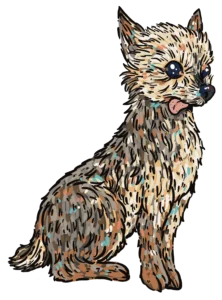 Kim Bode's dog, Scrappy