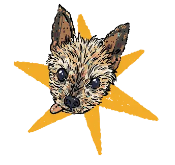 Kim Bode's dog, Scrappy